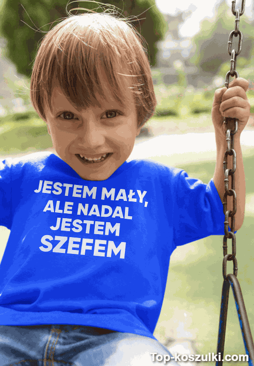 Koszulka dziecięca jestem mały ale szef